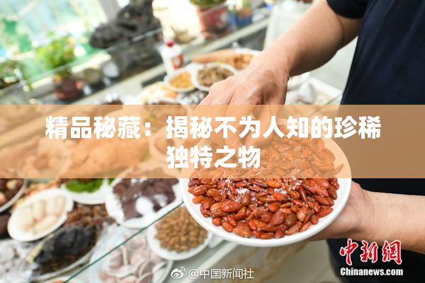 精品秘藏：揭秘不为人知的珍稀独特之物