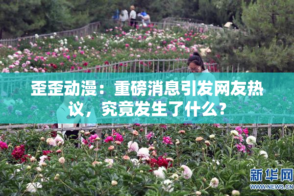 歪歪动漫：重磅消息引发网友热议，究竟发生了什么？