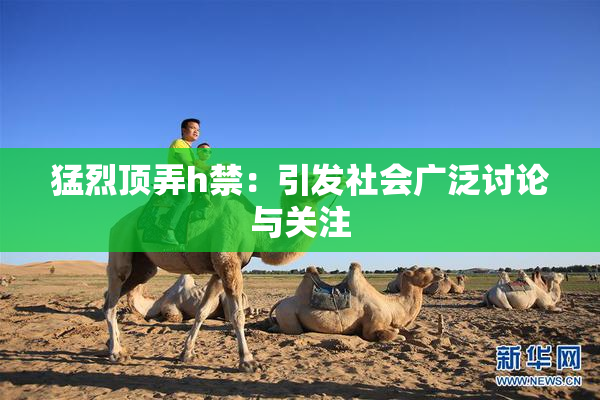 猛烈顶弄h禁：引发社会广泛讨论与关注