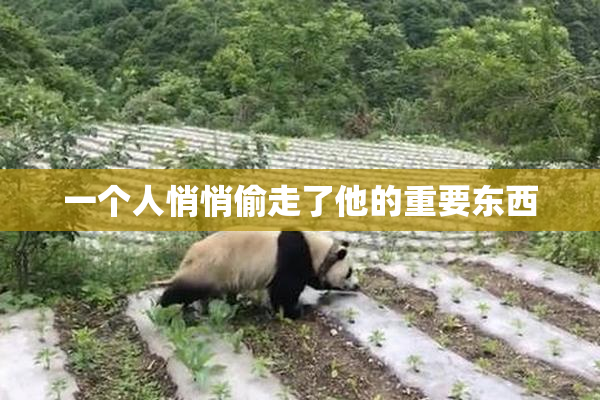 一个人悄悄偷走了他的重要东西