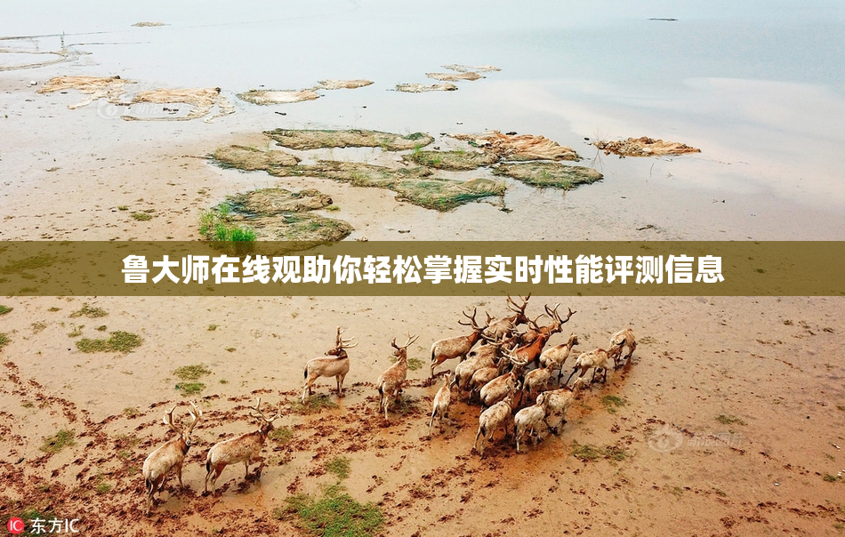 鲁大师在线观助你轻松掌握实时性能评测信息