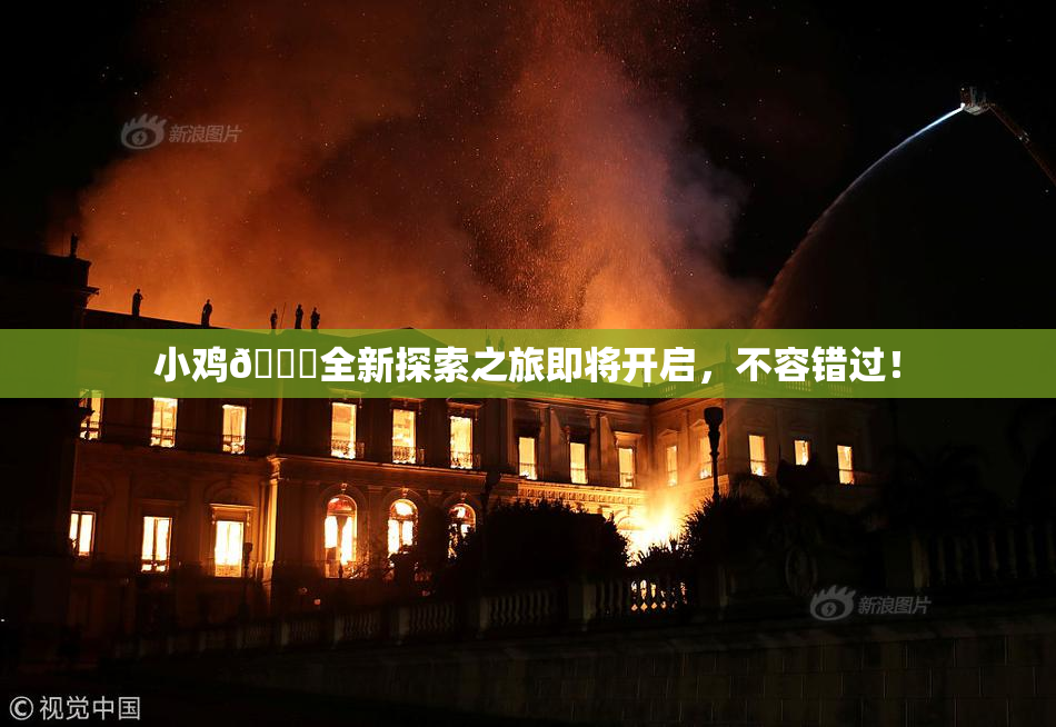 小鸡🐔全新探索之旅即将开启，不容错过！