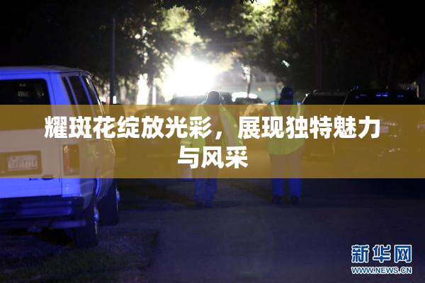 耀斑花绽放光彩，展现独特魅力与风采