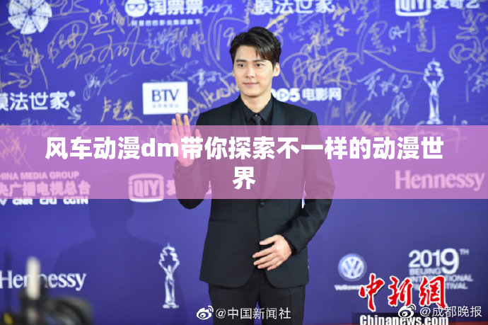 风车动漫dm带你探索不一样的动漫世界