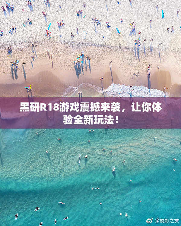 黑研R18游戏震撼来袭，让你体验全新玩法！