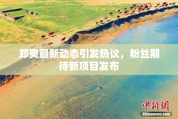 郑爽最新动态引发热议，粉丝期待新项目发布