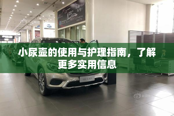 小尿壶的使用与护理指南，了解更多实用信息