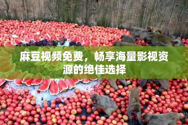麻豆视频免费，畅享海量影视资源的绝佳选择