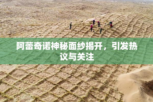 阿蕾奇诺神秘面纱揭开，引发热议与关注
