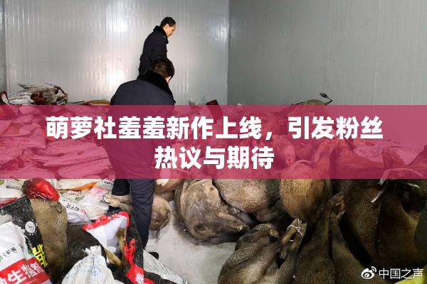 萌萝社羞羞新作上线，引发粉丝热议与期待
