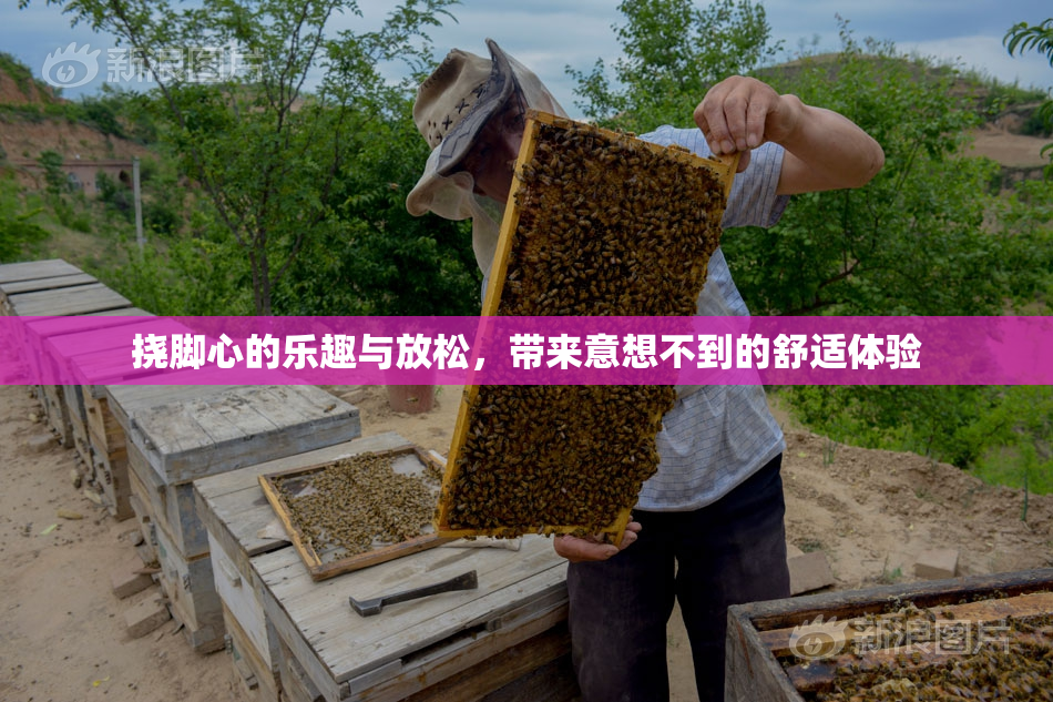 挠脚心的乐趣与放松，带来意想不到的舒适体验