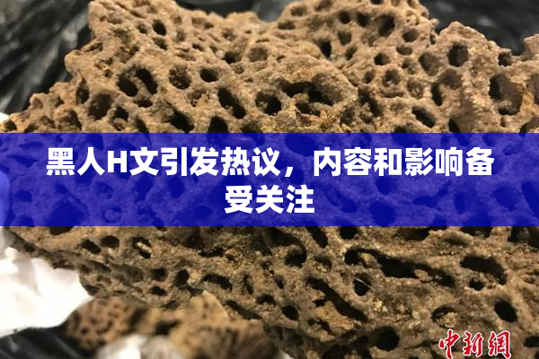 黑人H文引发热议，内容和影响备受关注