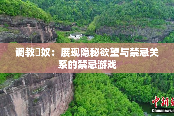 调教婬奴：展现隐秘欲望与禁忌关系的禁忌游戏