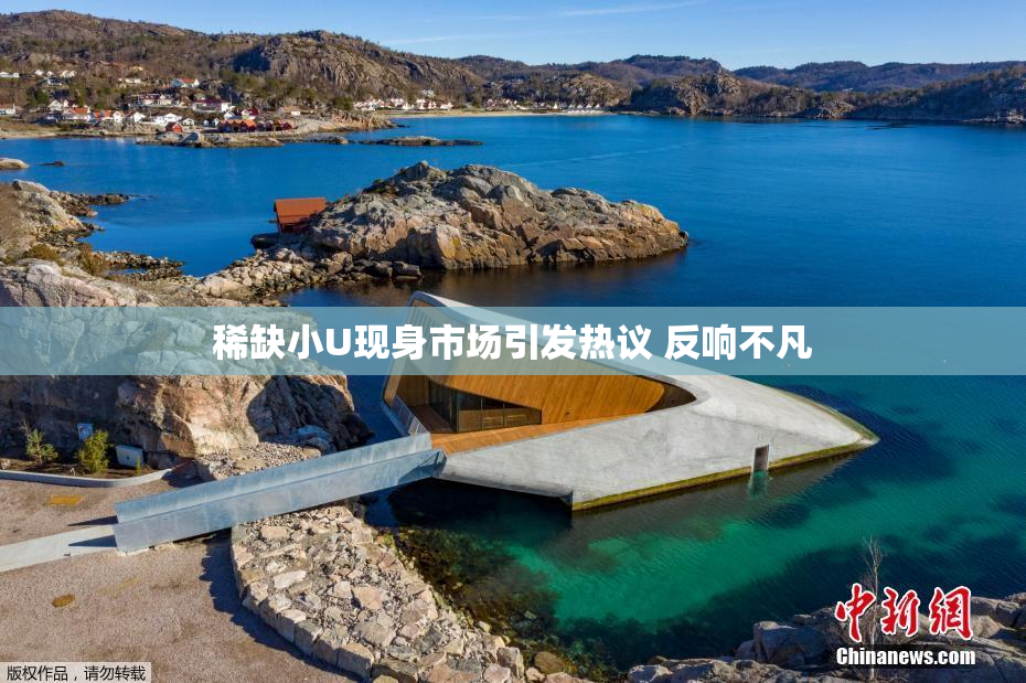 稀缺小U现身市场引发热议 反响不凡