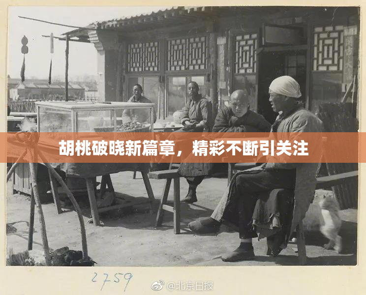 胡桃破晓新篇章，精彩不断引关注