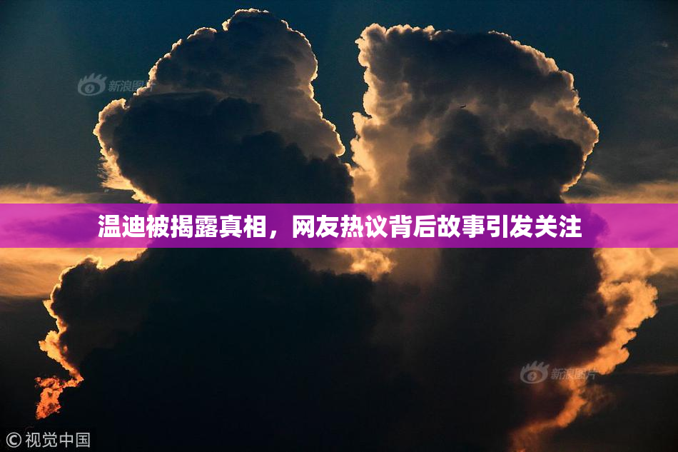 温迪被揭露真相，网友热议背后故事引发关注