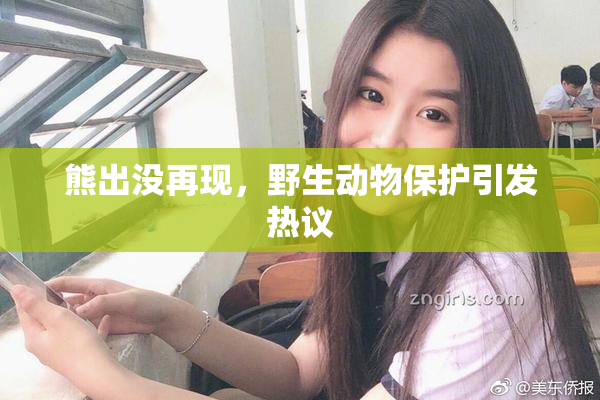 熊出没再现，野生动物保护引发热议