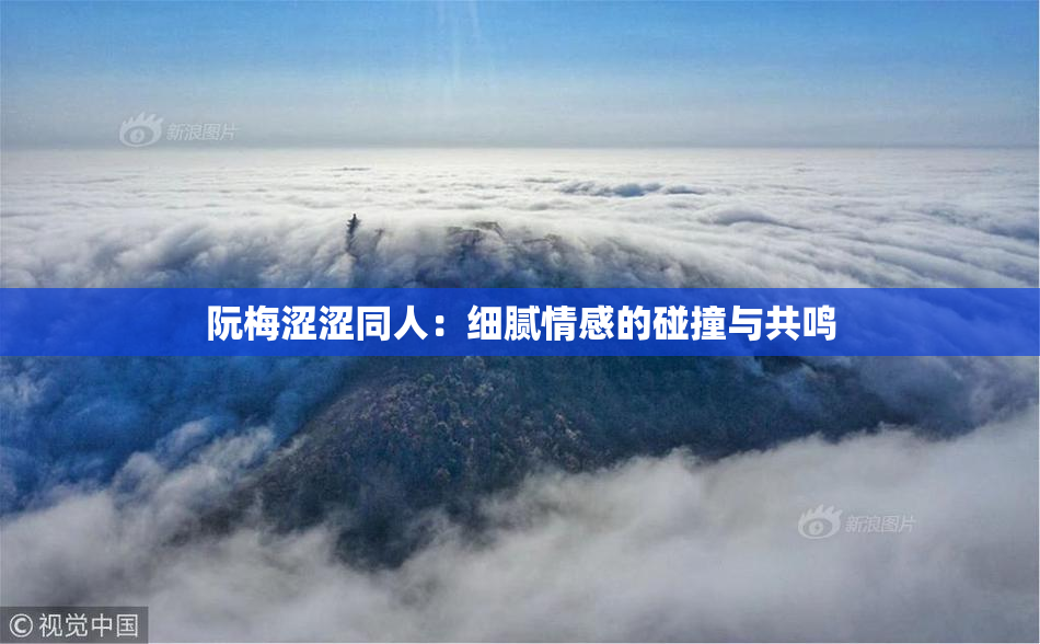 阮梅涩涩同人：细腻情感的碰撞与共鸣