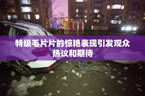 特级毛片片的惊艳表现引发观众热议和期待