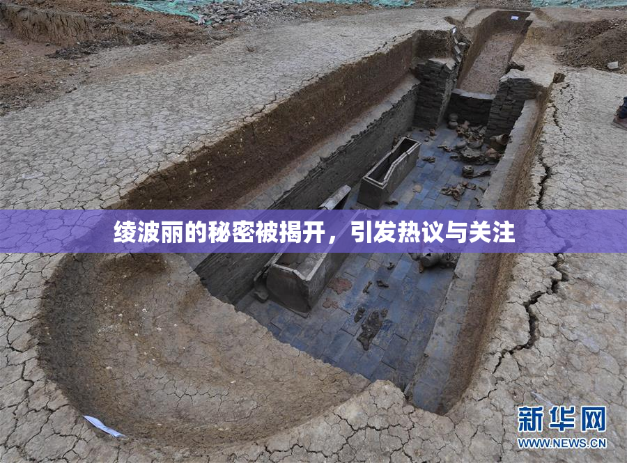 绫波丽的秘密被揭开，引发热议与关注