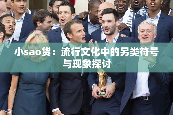 小sao货：流行文化中的另类符号与现象探讨