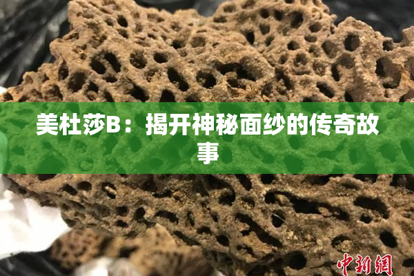 美杜莎B：揭开神秘面纱的传奇故事