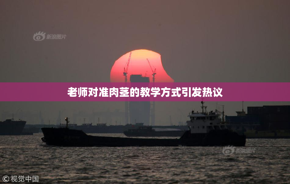 老师对准肉茎的教学方式引发热议