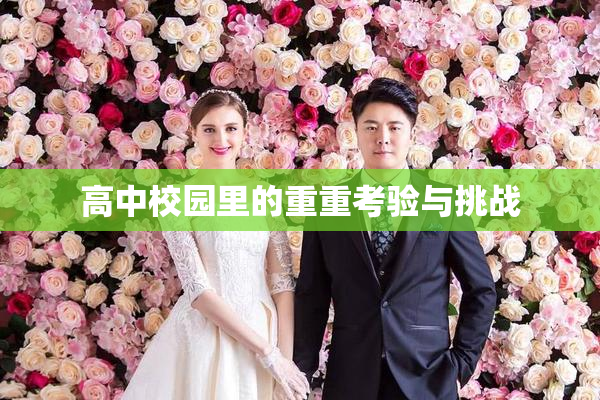 高中校园里的重重考验与挑战