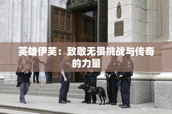 英雄伊芙：致敬无畏挑战与传奇的力量