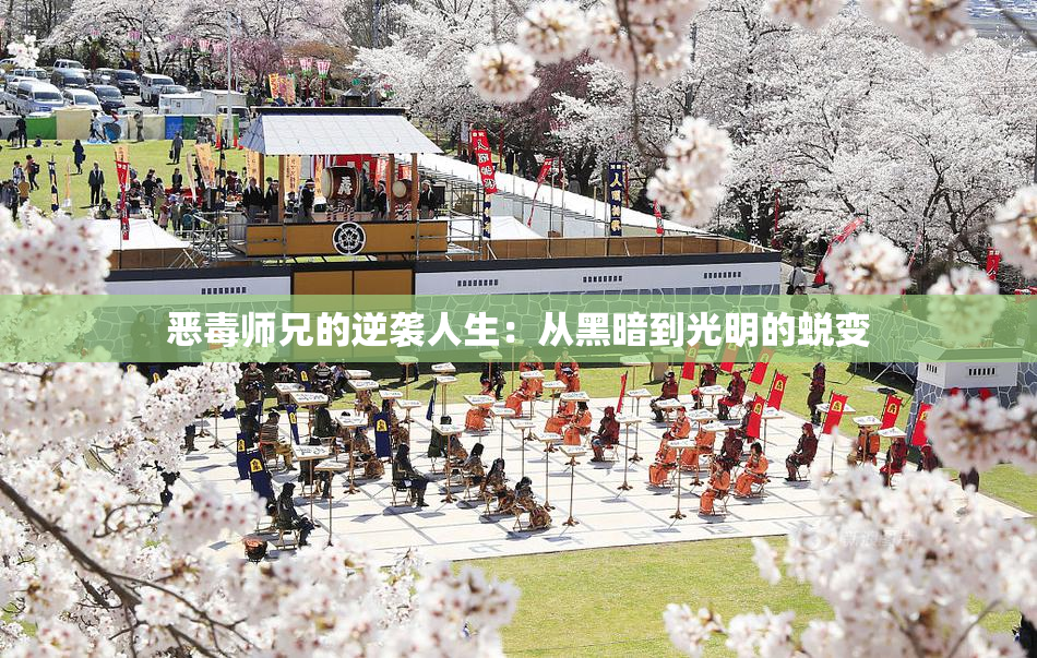 恶毒师兄的逆袭人生：从黑暗到光明的蜕变