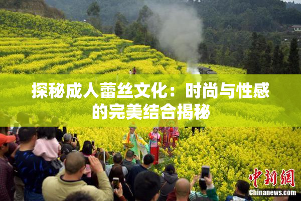 探秘成人蕾丝文化：时尚与性感的完美结合揭秘
