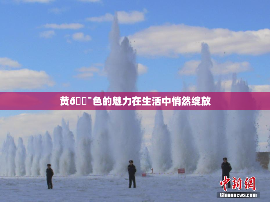 黄🔯色的魅力在生活中悄然绽放