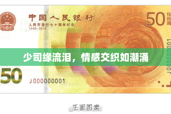 少司缘流泪，情感交织如潮涌