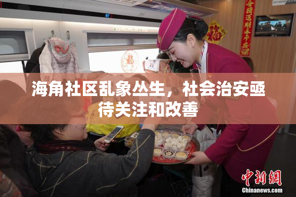 海角社区乱象丛生，社会治安亟待关注和改善