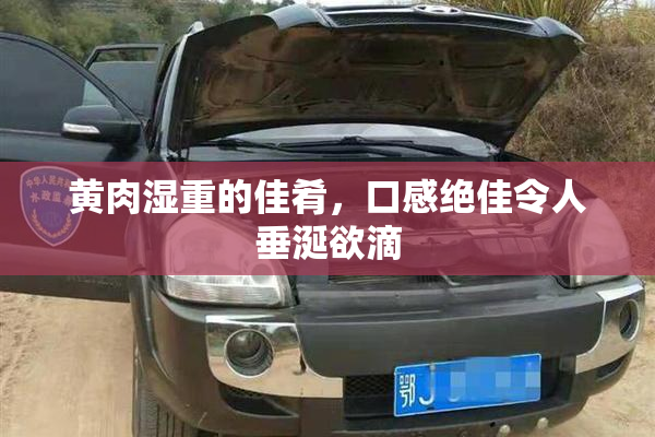 黄肉湿重的佳肴，口感绝佳令人垂涎欲滴