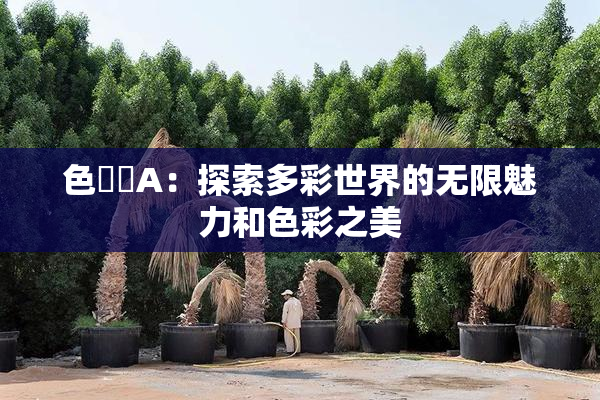 色妺妺A：探索多彩世界的无限魅力和色彩之美