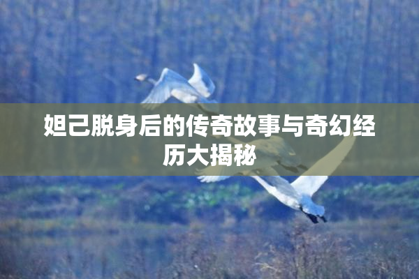 妲己脱身后的传奇故事与奇幻经历大揭秘