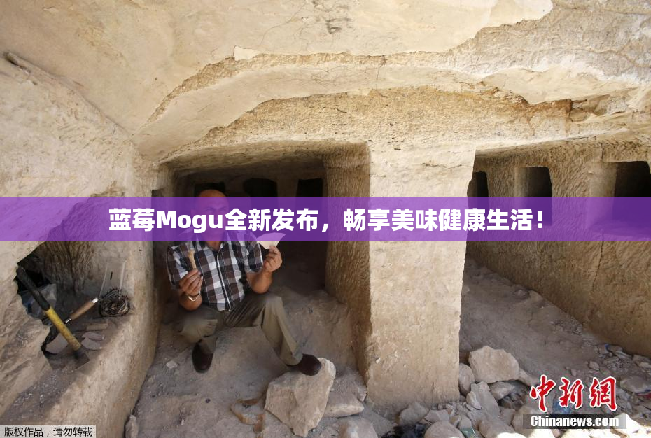 蓝莓Mogu全新发布，畅享美味健康生活！