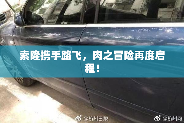 索隆携手路飞，肉之冒险再度启程！