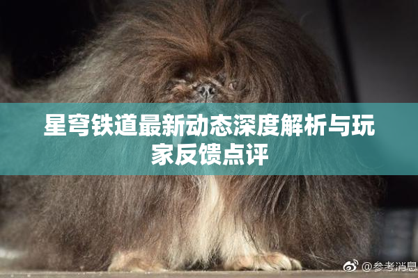 星穹铁道最新动态深度解析与玩家反馈点评