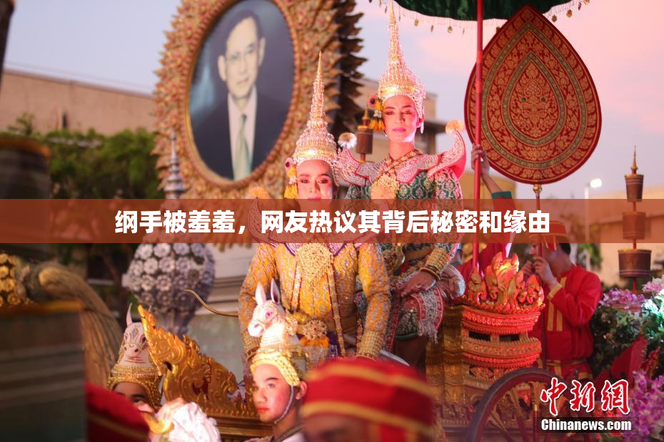 纲手被羞羞，网友热议其背后秘密和缘由