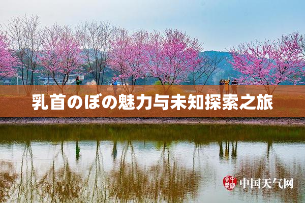 乳首のぼの魅力与未知探索之旅