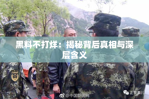 黑料不打烊：揭秘背后真相与深层含义