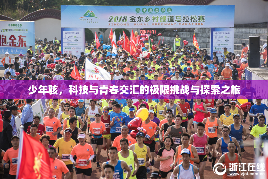 少年骇，科技与青春交汇的极限挑战与探索之旅