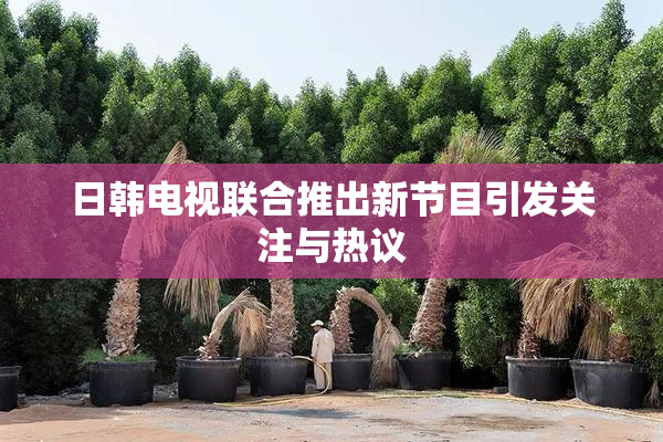 日韩电视联合推出新节目引发关注与热议