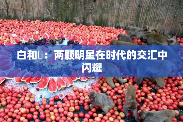 白和晄：两颗明星在时代的交汇中闪耀
