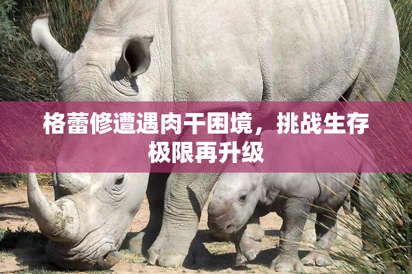 格蕾修遭遇肉干困境，挑战生存极限再升级