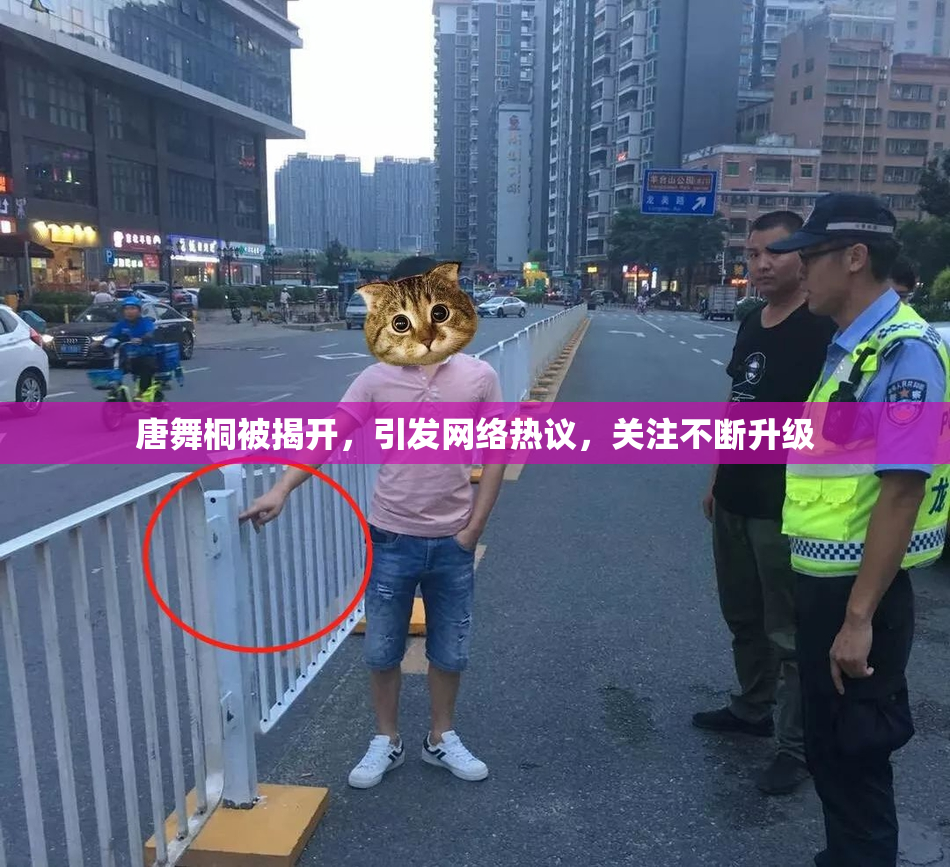 唐舞桐被揭开，引发网络热议，关注不断升级