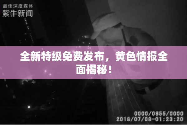 全新特级免费发布，黄色情报全面揭秘！