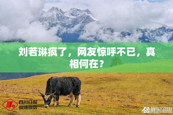 刘若琳疯了，网友惊呼不已，真相何在？